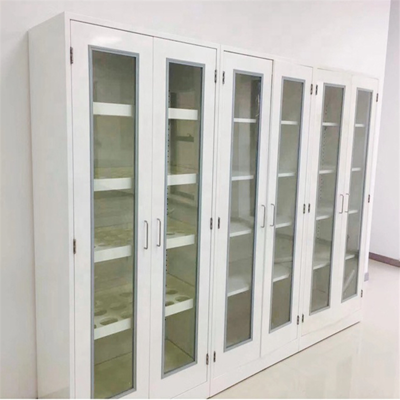 實(shí)驗(yàn)室試劑柜 酸堿存儲(chǔ)柜