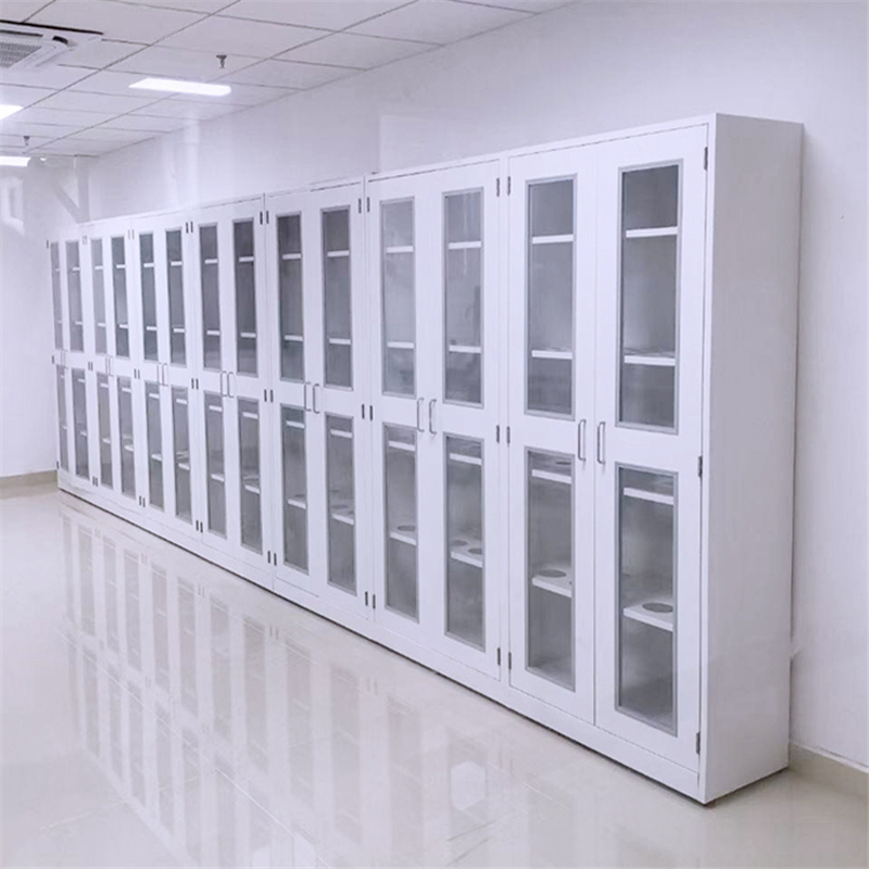實(shí)驗(yàn)室全鋼藥品柜