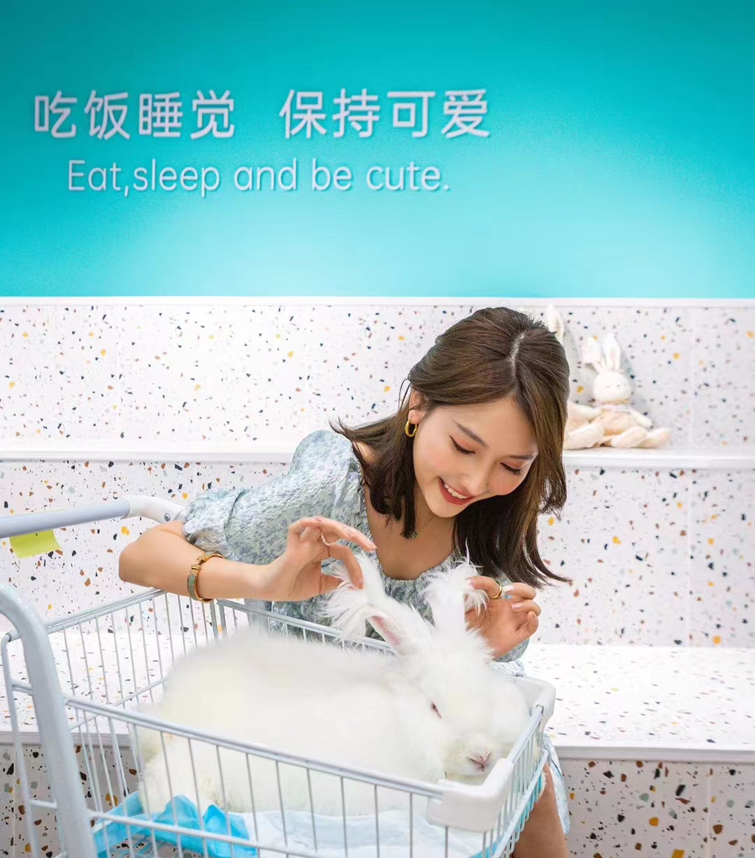 店面安哥拉兔實拍