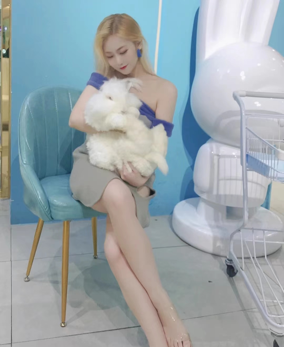 安哥拉兔是長毛兔的一種