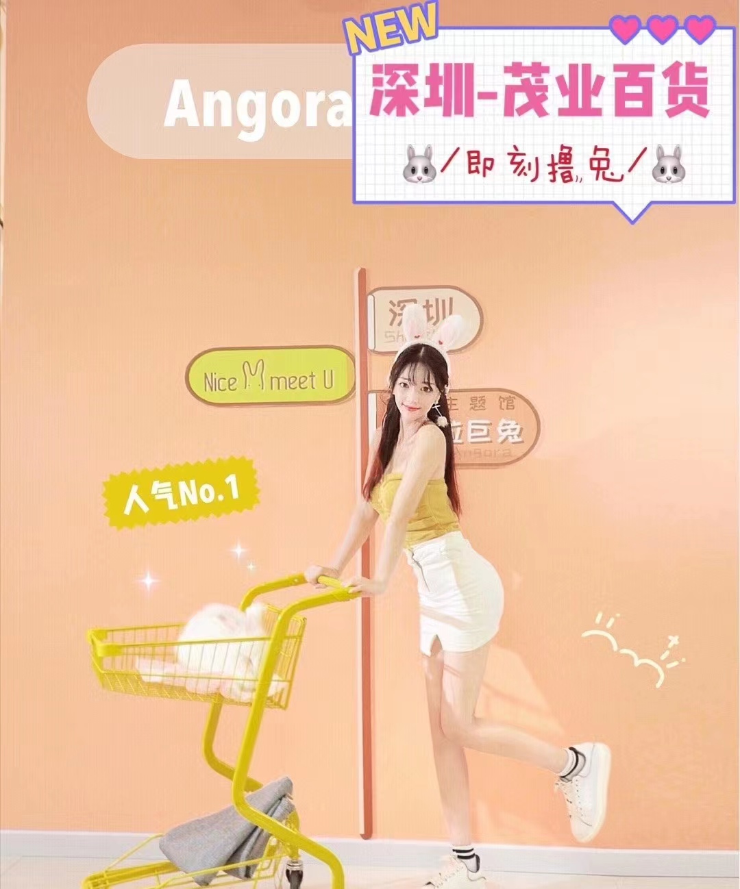 深圳-茂業百貨安哥拉兔體驗館